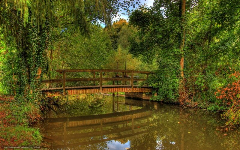 Wooden bridge over a river