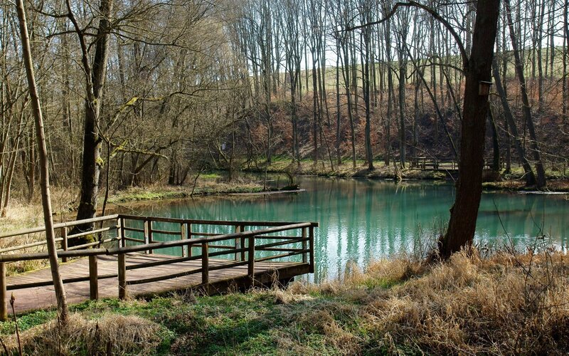 Wooden bridge over a serene pond
