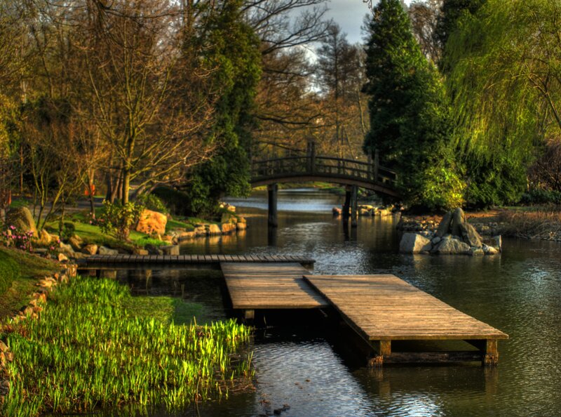 Wooden bridge over a serene pond