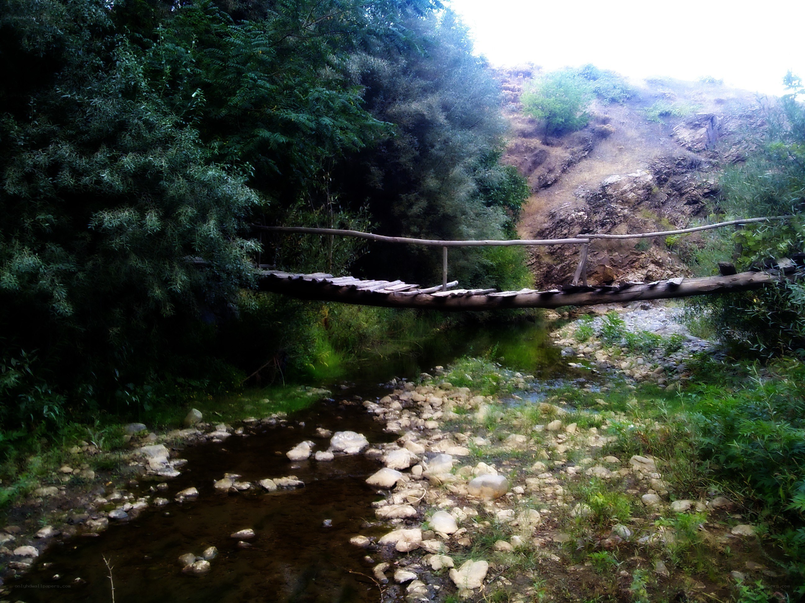 Wooden bridge over a stream