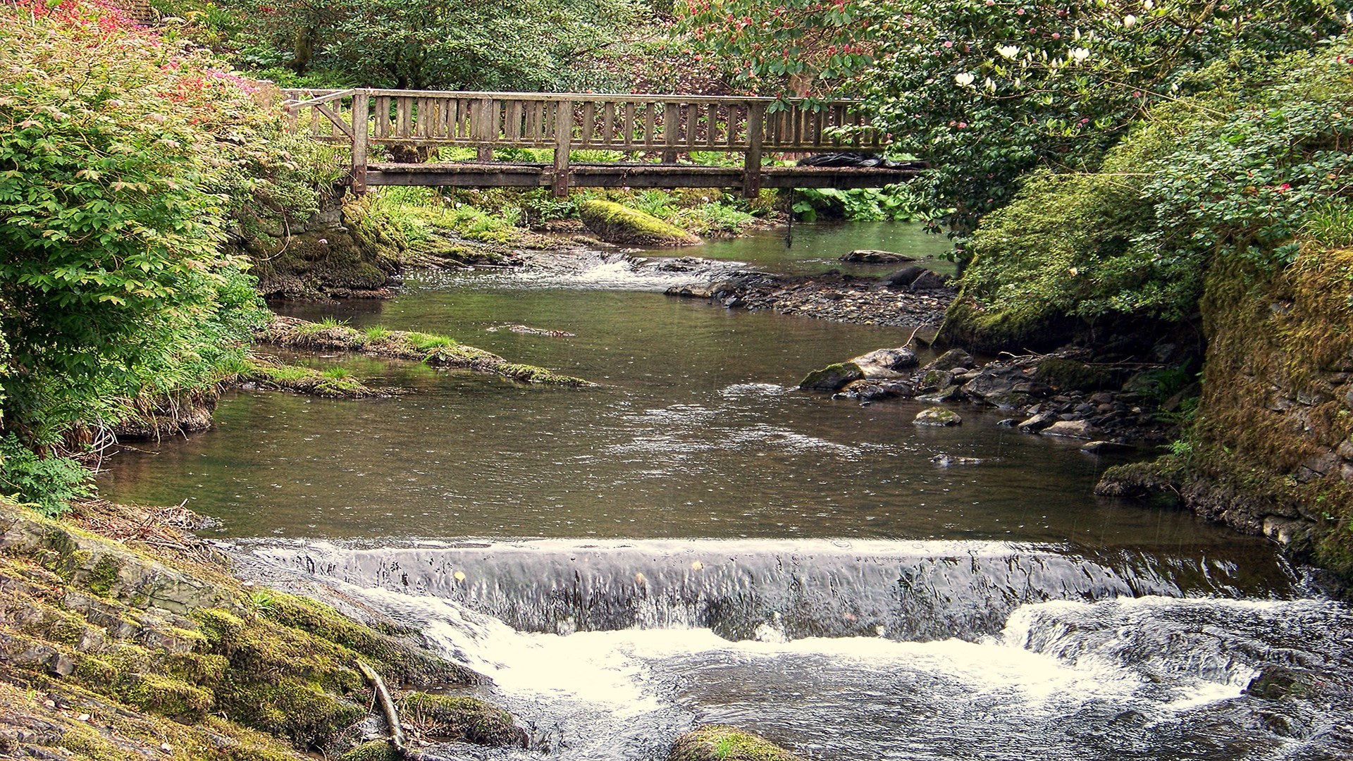 Wooden bridge over a stream