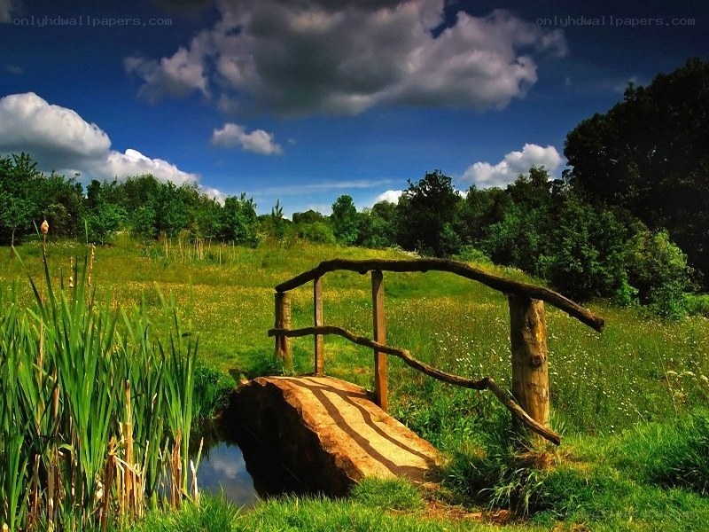 Wooden bridge over a stream