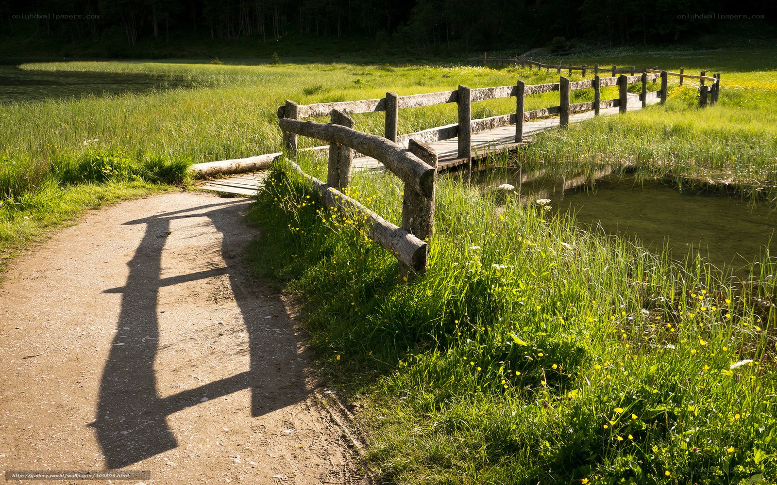 Wooden bridge over a stream
