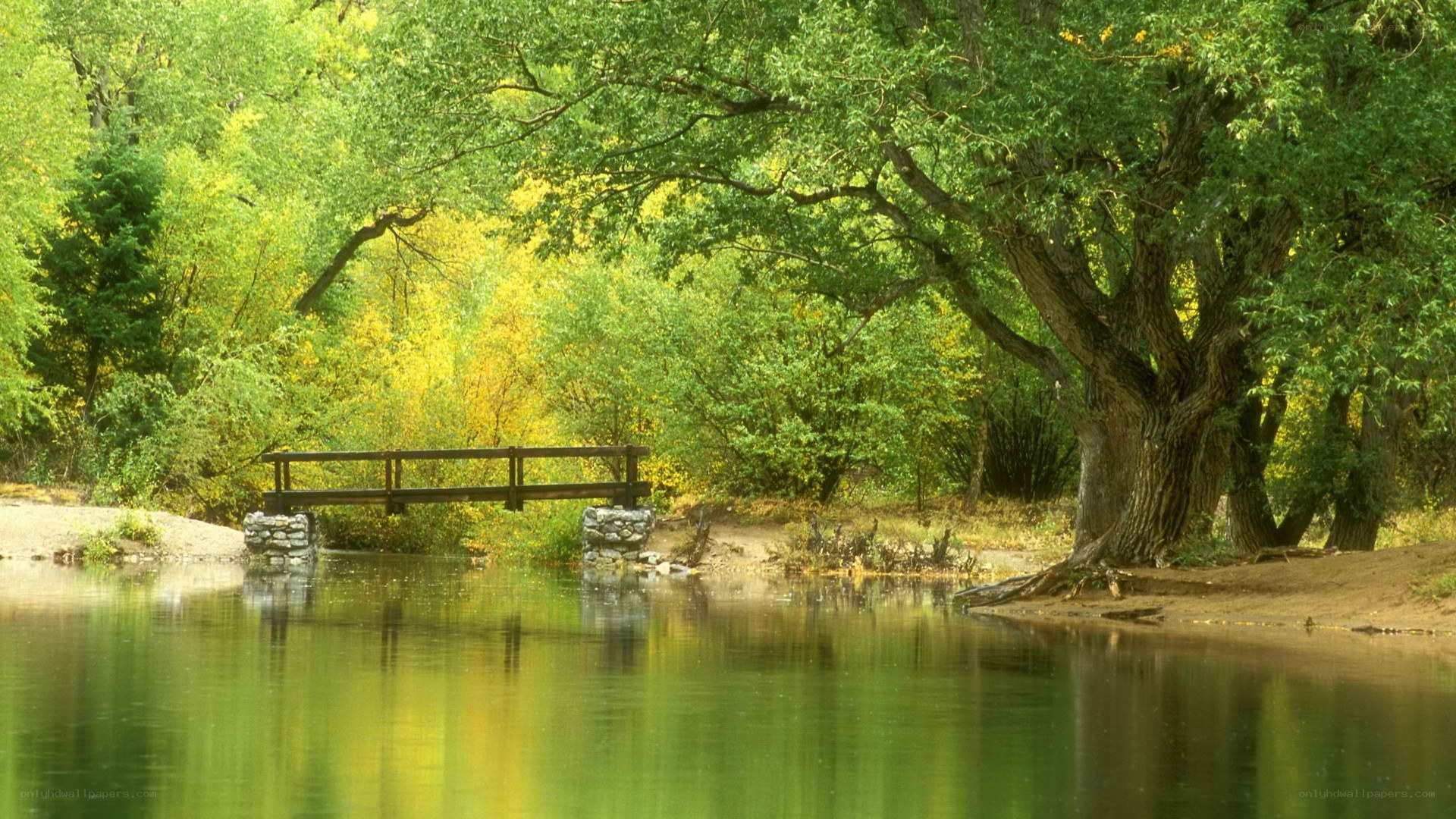 Wooden bridge over calm river
