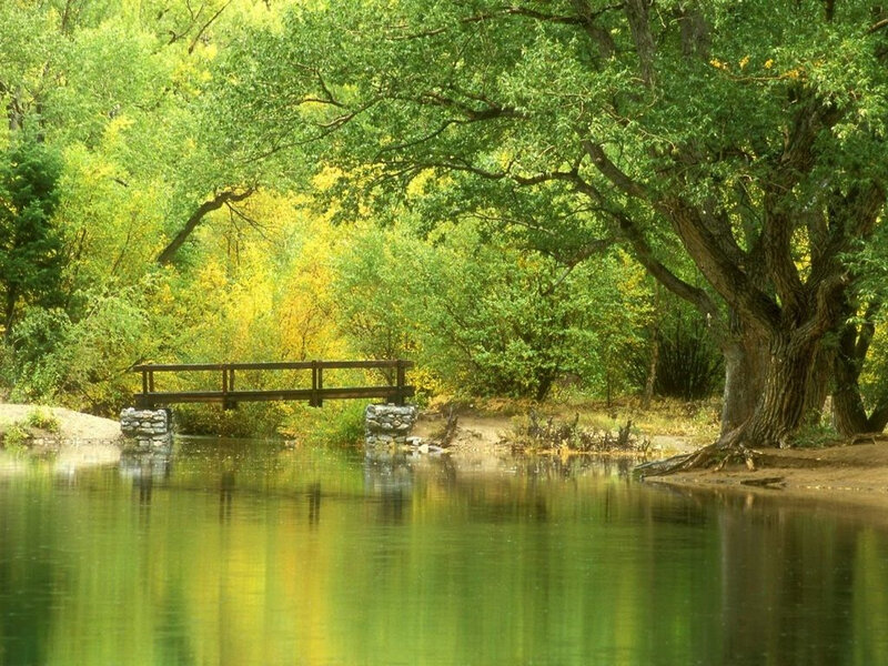 Wooden bridge over calm river