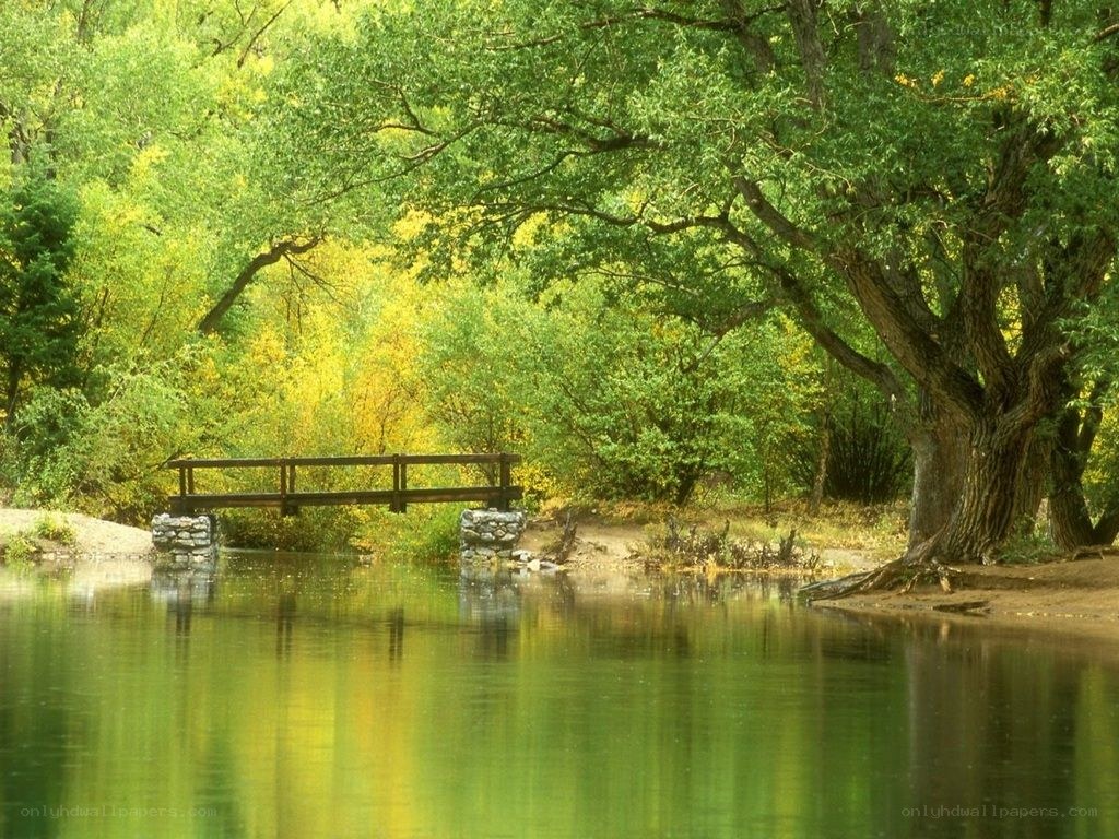 Wooden bridge over calm river