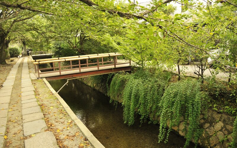 Wooden Bridge over Canal — Green, Serene
