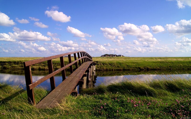 Wooden Bridge over Canal — Green