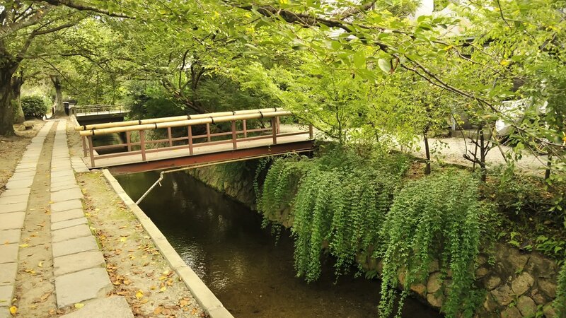Wooden bridge over canal in park