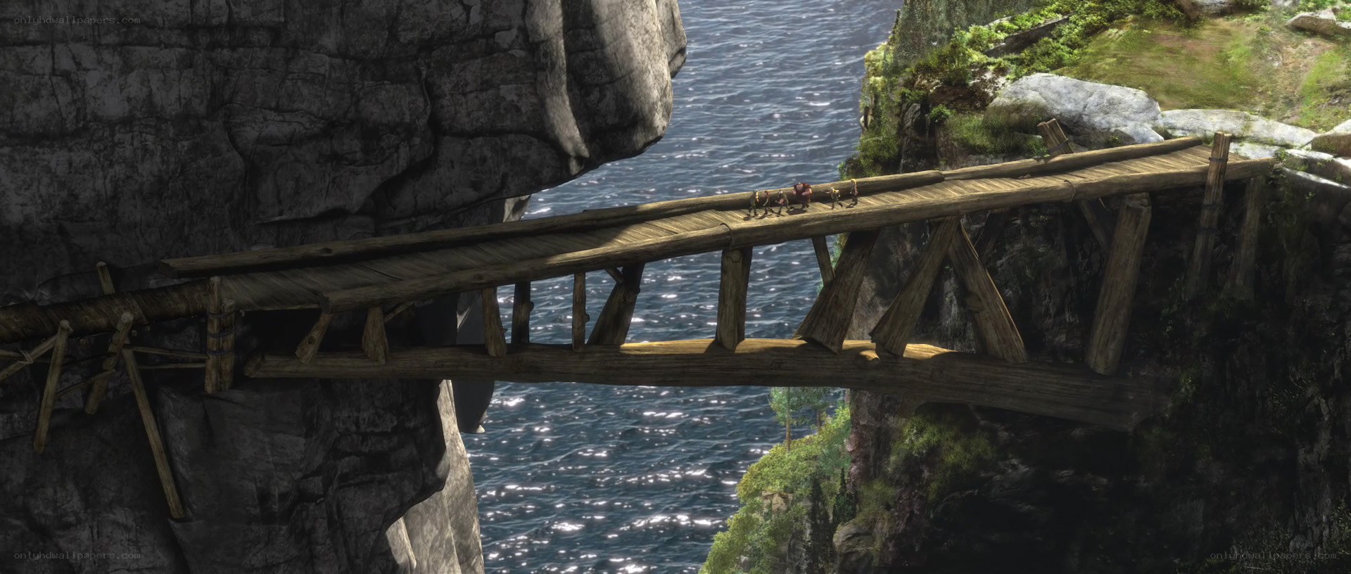 Wooden bridge over chasm