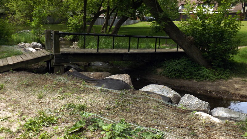 Wooden Bridge over Creek — Green