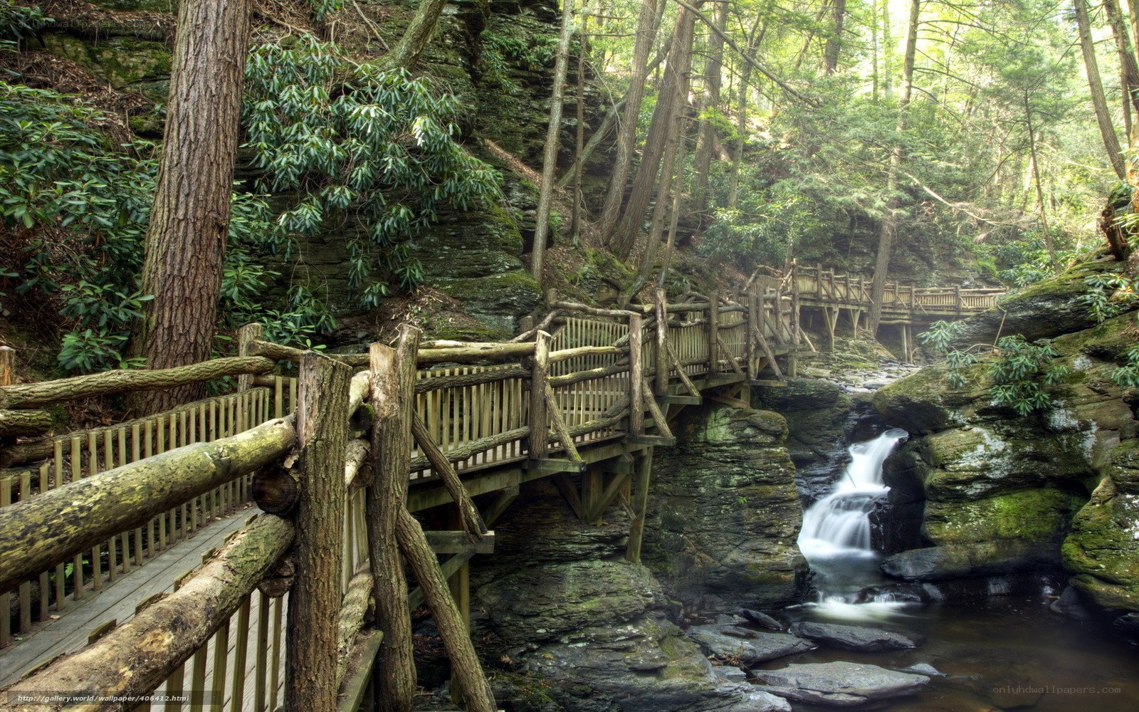 Wooden bridge over forest stream