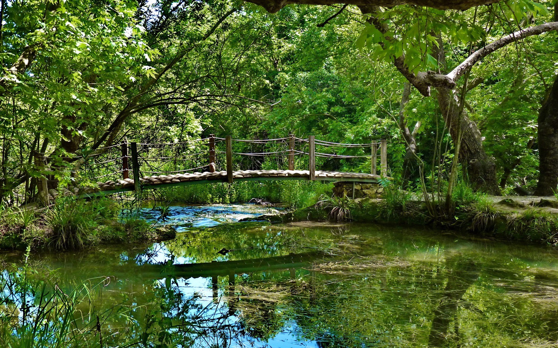 Wooden bridge over forest stream
