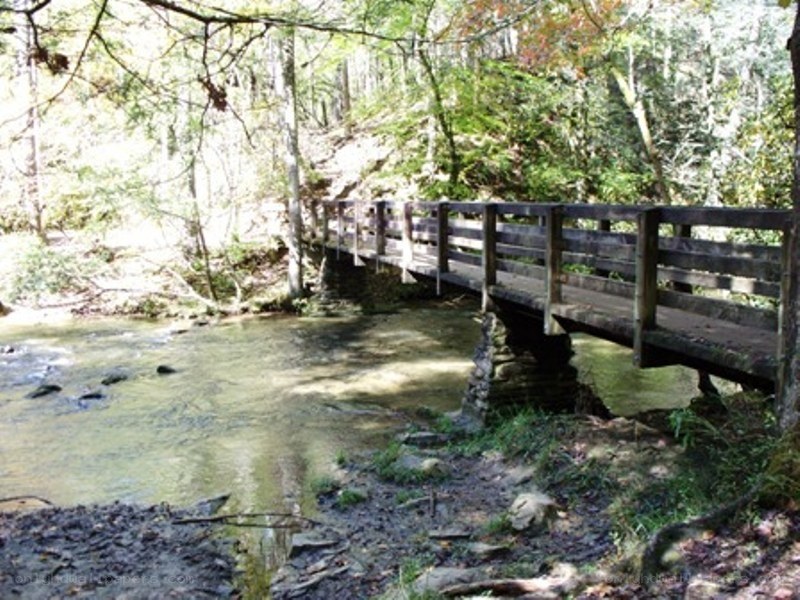 Wooden bridge over forest stream