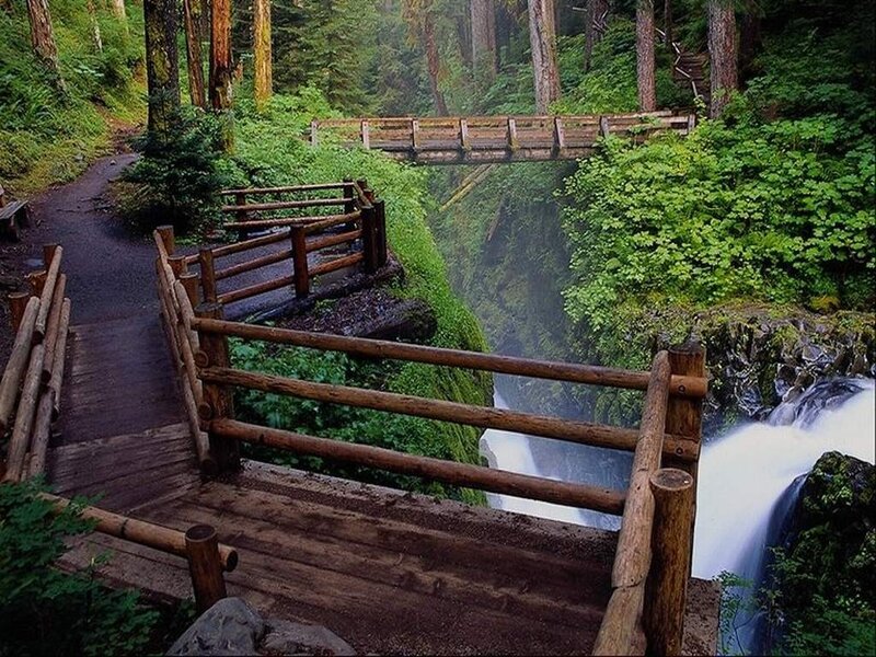 Wooden bridge over forest waterfall
