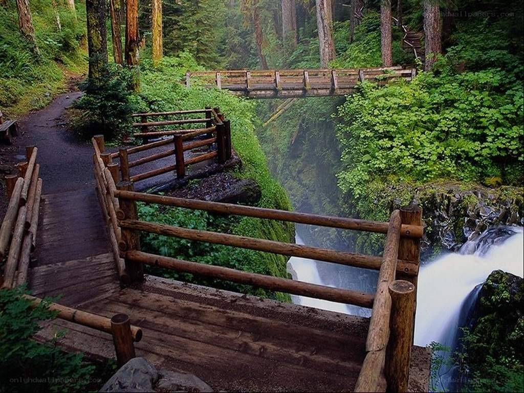 Wooden bridge over forest waterfall