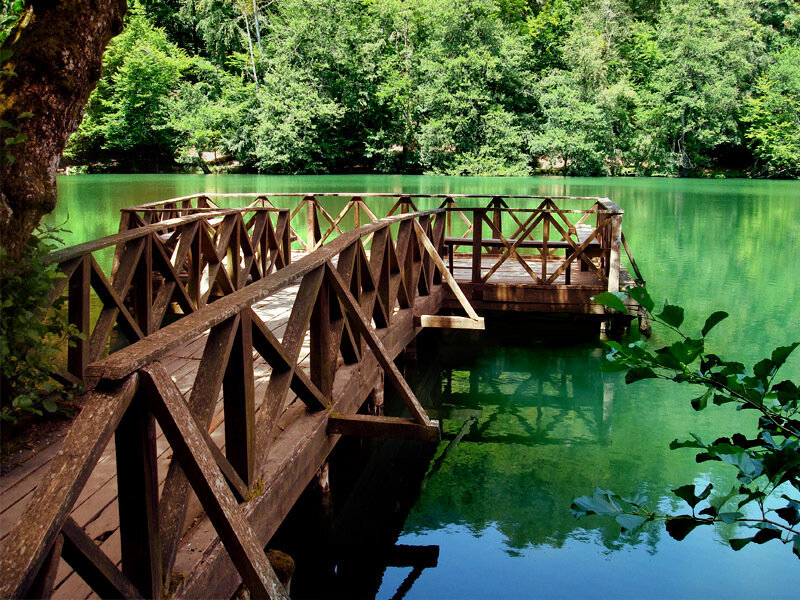 Wooden bridge over green lake