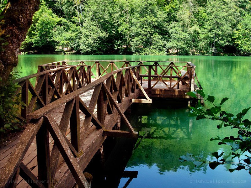 Wooden bridge over green lake