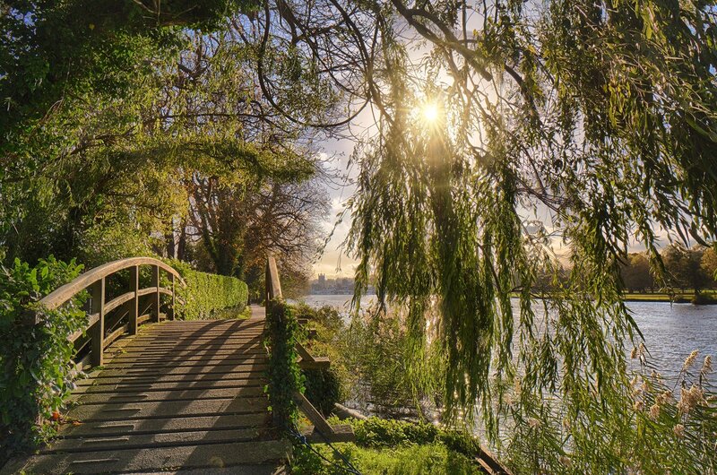 Wooden Bridge over Lake — Green, Serene