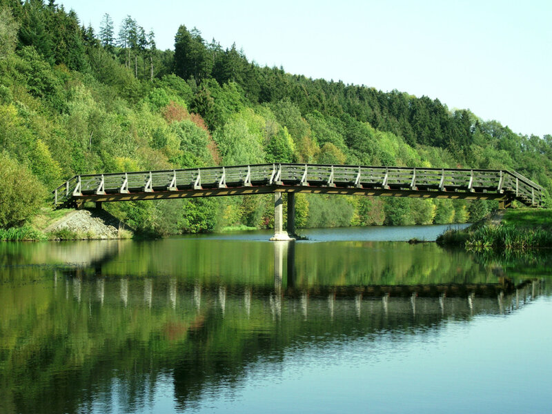 Wooden Bridge over Lake — Green