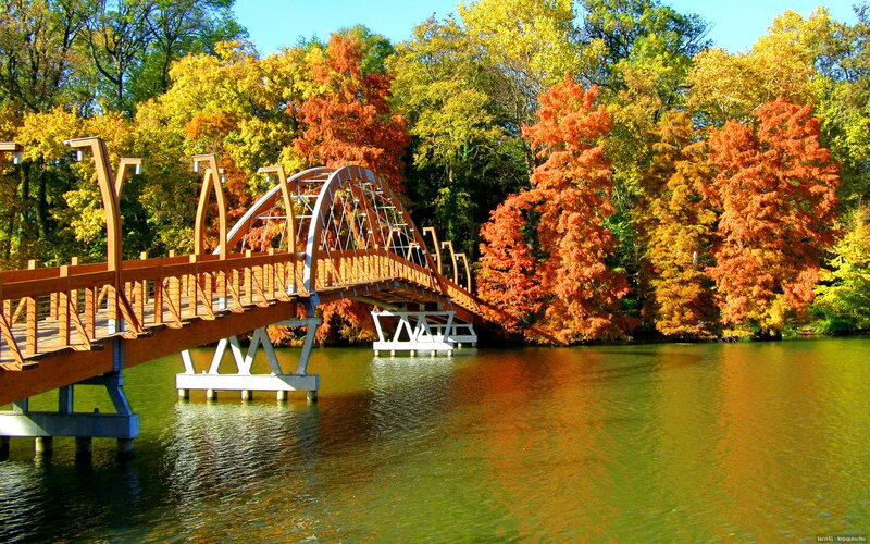Wooden Bridge over Lake — Orange