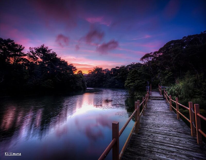 Wooden Bridge over Lake — Purple