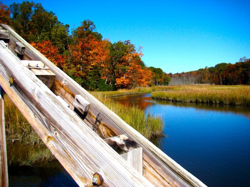 Wooden Bridge over Marsh