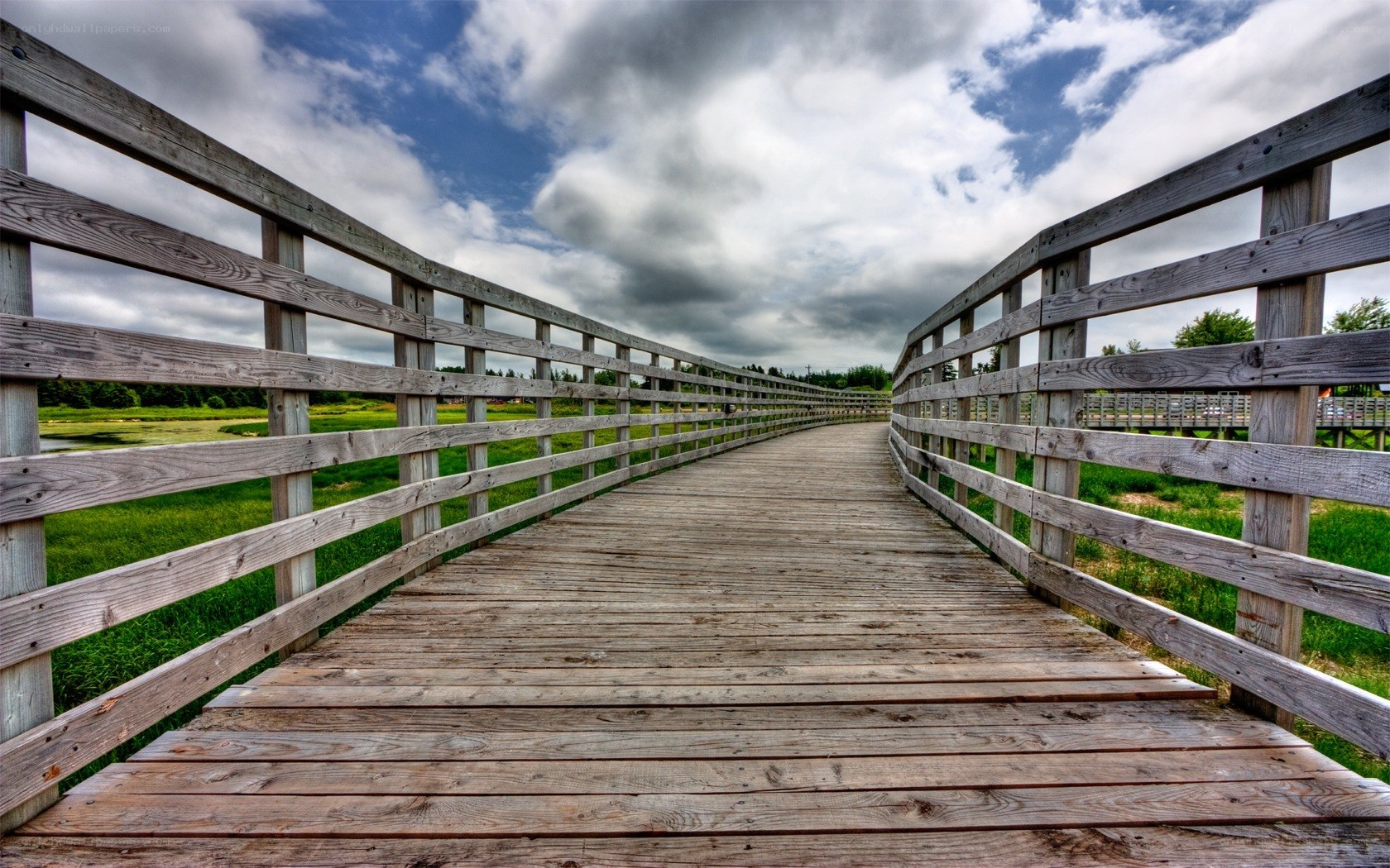 Wooden bridge over marshland