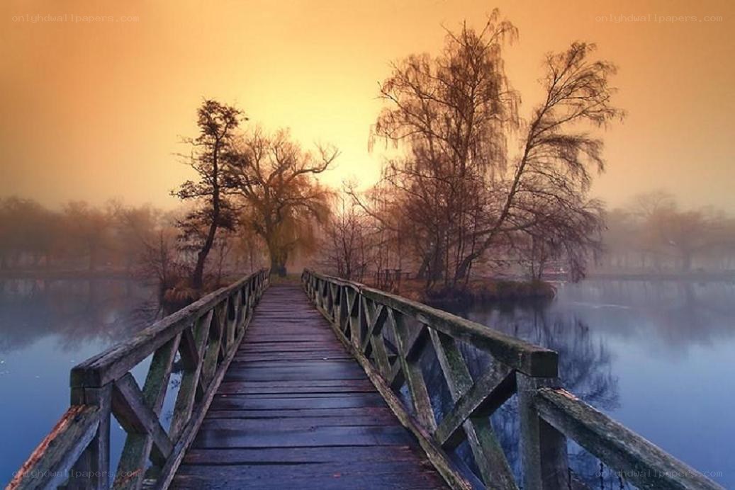 Wooden bridge over misty lake