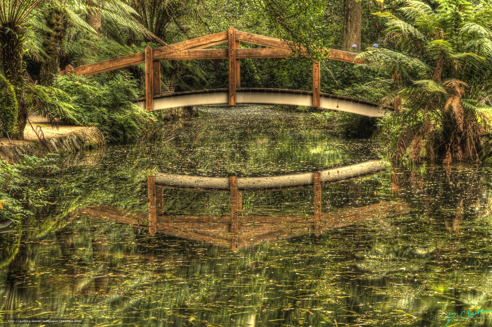 Wooden bridge over pond