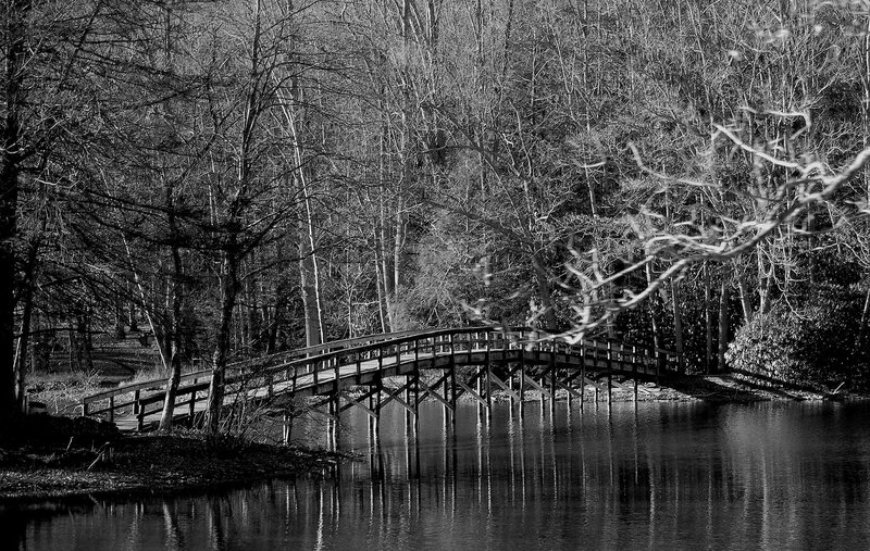 Wooden Bridge over Pond — Black