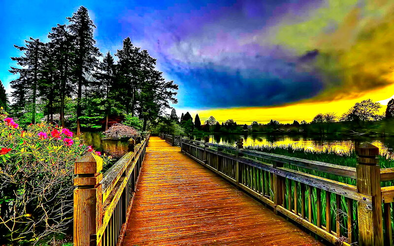 Wooden Bridge over Pond — Blue, Dramatic