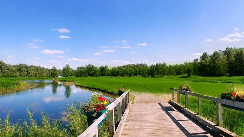 Wooden Bridge over Pond — Blue, Serene, Afternoon