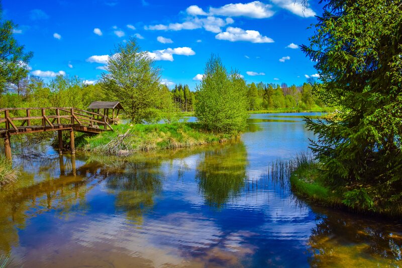 Wooden Bridge over Pond — Blue, Serene