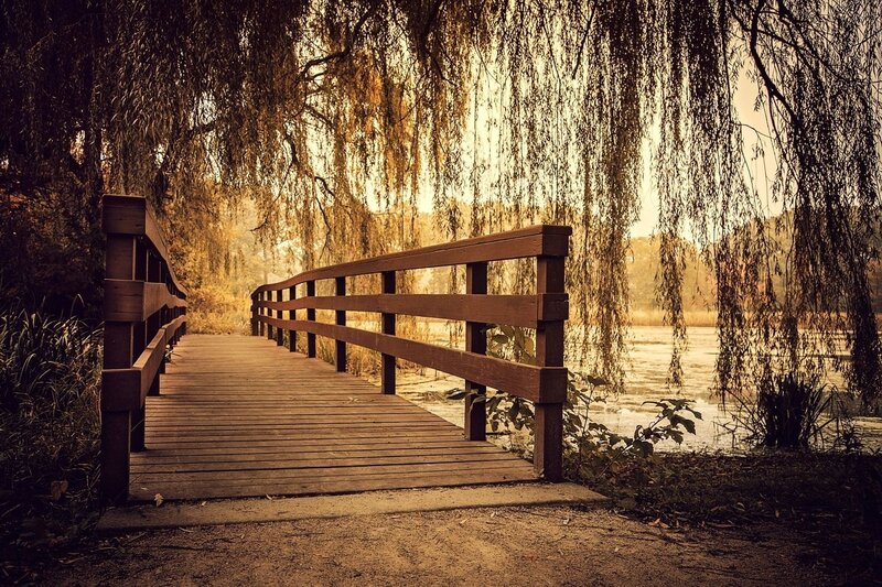 Wooden Bridge over Pond — Brown, Serene, Autumn