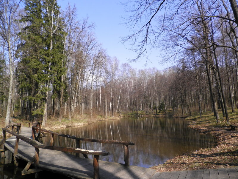 Wooden Bridge over Pond — Brown, Serene, Spring