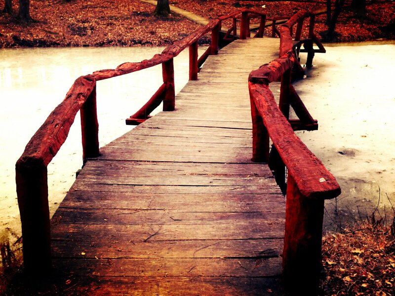 Wooden Bridge over Pond — Brown, Serene