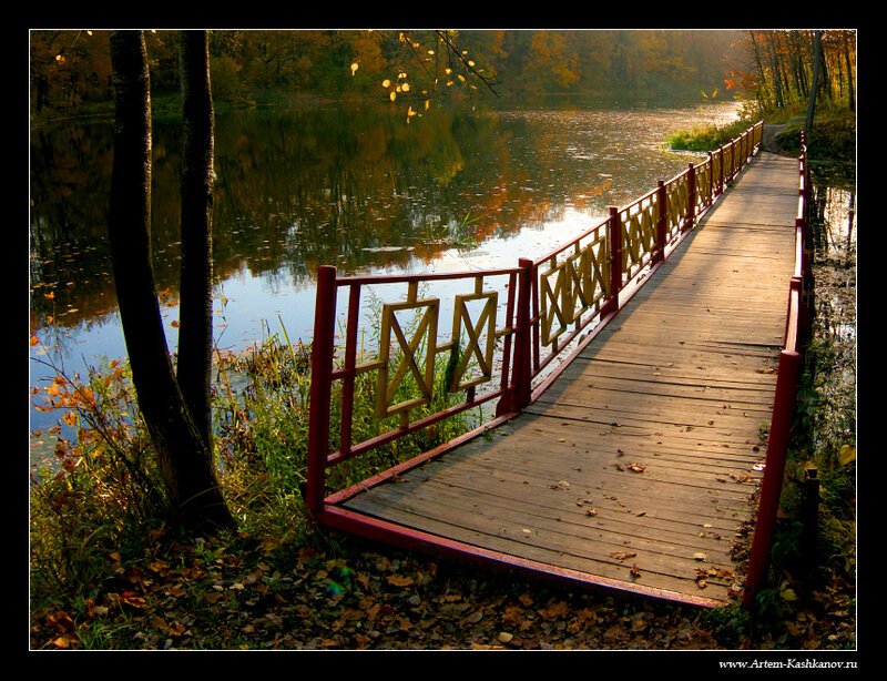 Wooden Bridge over Pond — Brown