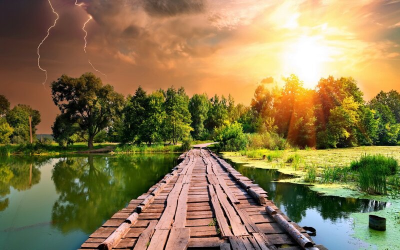 Wooden Bridge over Pond — Green, Dramatic, Sunset, Photograph
