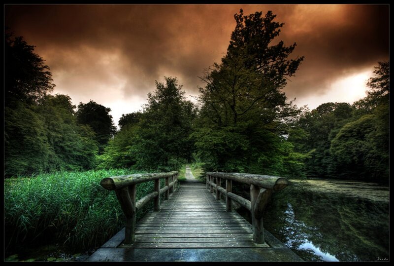 Wooden Bridge over Pond — Green, Dramatic, Sunset, Photograph, Trees