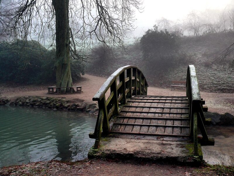 Wooden Bridge over Pond — Green, Misty