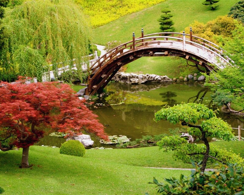 Wooden Bridge over Pond — Green, Serene, Afternoon, Photograph, Red Maple Tree