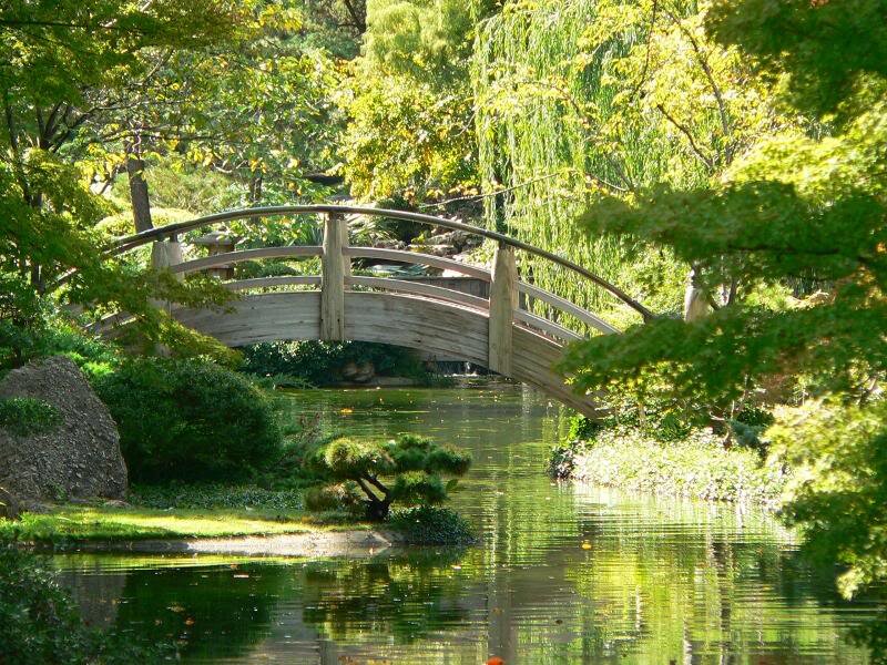 Wooden Bridge over Pond — Green, Serene, Afternoon, Photograph, Trees, Weeping Willow