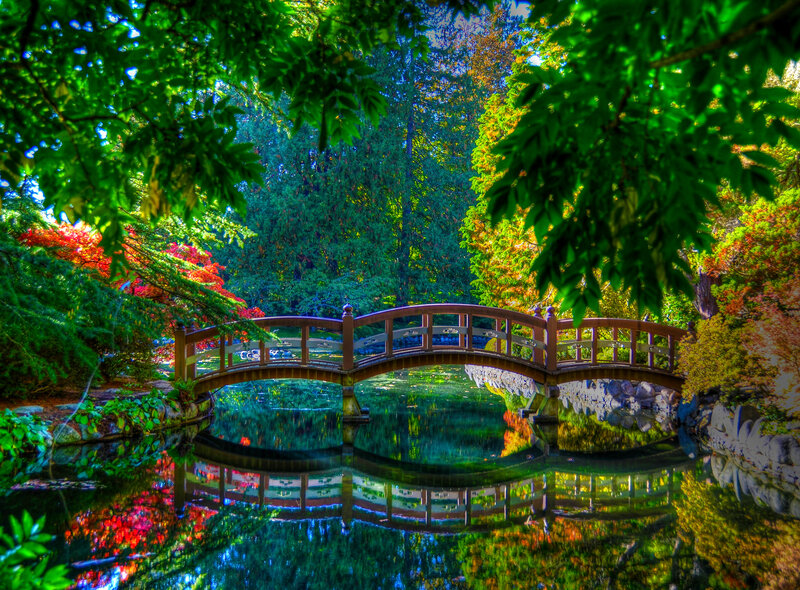 Wooden Bridge over Pond — Green, Serene, Autumn, Photograph, Trees, Reflection