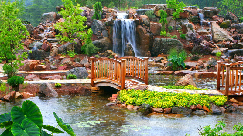 Wooden Bridge over Pond — Green, Serene, Morning, Photograph