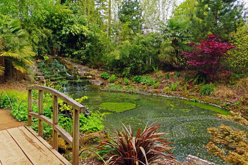 Wooden Bridge over Pond — Green, Serene, Spring, Photograph, Waterfall, Trees