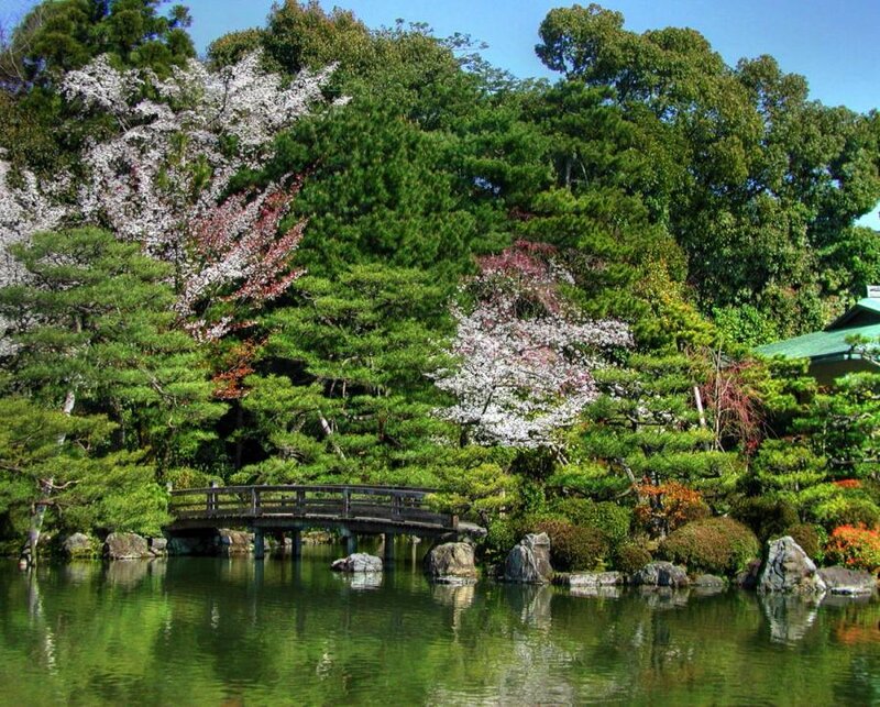 Wooden Bridge over Pond — Green, Serene, Spring