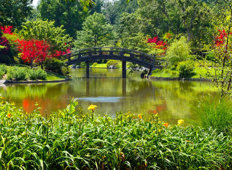 Wooden Bridge over Pond — Green, Serene, Summer