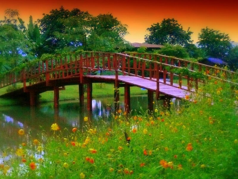 Wooden Bridge over Pond — Green, Serene, Sunset