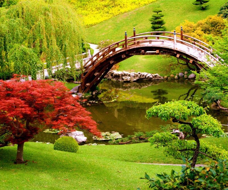 Wooden Bridge over Pond — Green, Serene